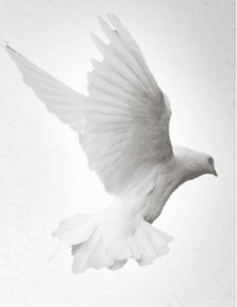 Raymond Jackson Obituary